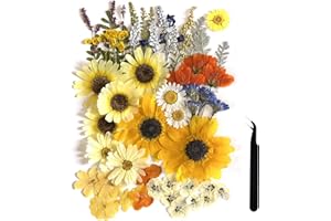 ZQmino A4 Large Dried Pressed Flowers for Resin - Sunflower, Real Dry Natural Flowers & Leaves for Resin Mold, Cake, Candle Making, Phone Cases, Scrapbooking, DIY Art Crafts (Yellow)