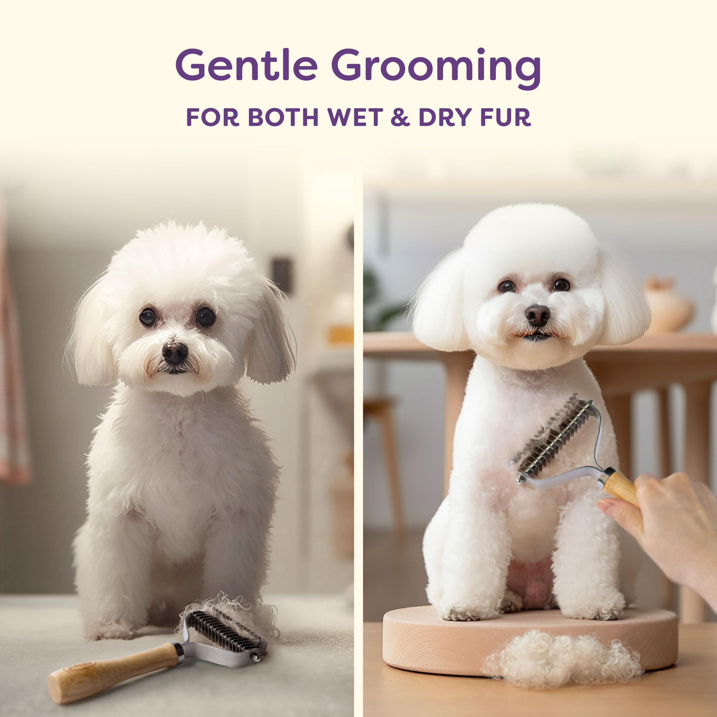 View 5