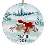 Santa Hat and Scarf Welcome Winter Budgett's Frog
