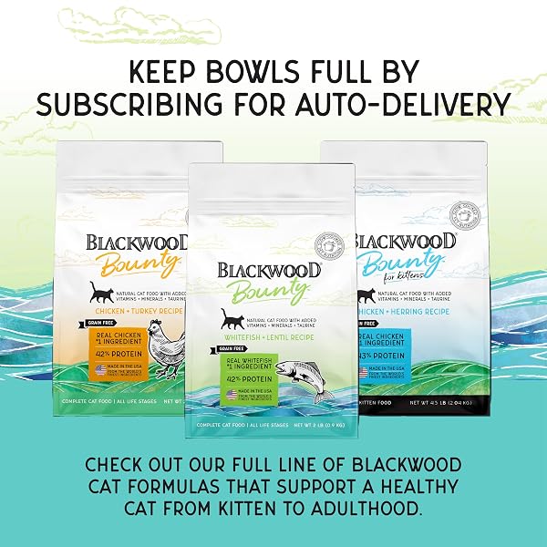 BLACKWOOD BOUNTY DRY CAT FOOD, WHITEFISH & LENTIL RECIPE FOR ALL LIFE STAGES, 2 POUND BAG, HIGH PROTEIN, GRAIN FREE