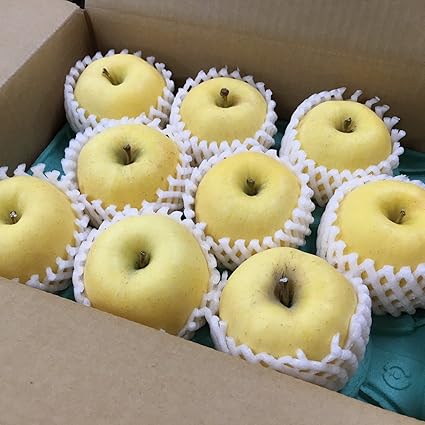 Amazon ご予約 岩手 純情りんご 新品種林檎 白いリンゴ 冬恋 2 5kg さんきん りんご 通販