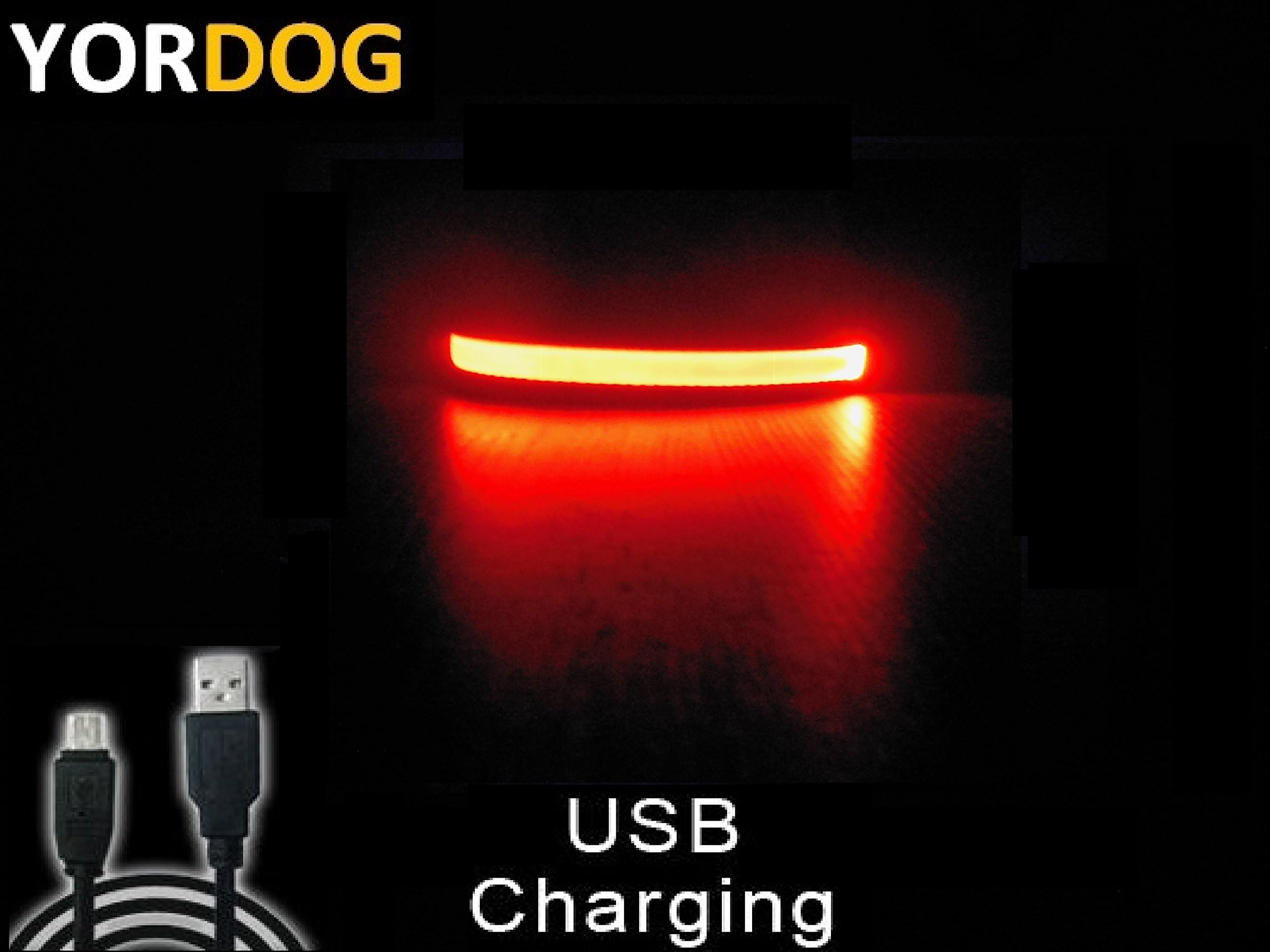 MAD SALE PRICE WHILE STOCKS LAST - NEW Premium Quality Super Bright PU Leather LED dog night safety collar rechargeable via USB, quick charge time just 40 minutes no batteries required, available in 4 colours, medium size fits neck size 35-45cm (Orange) (Orange, Medium)