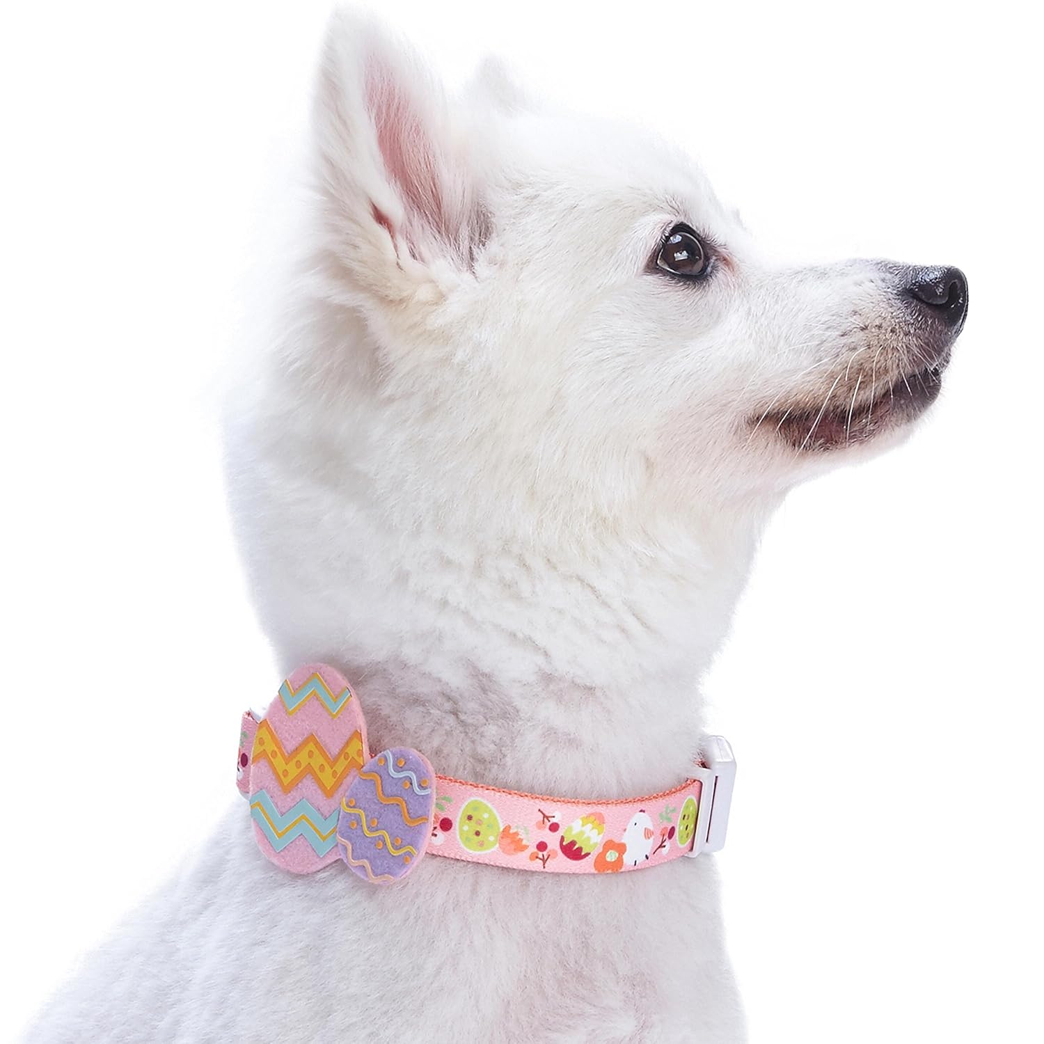 100 の保証 Blueberry Pet ブルーベリーペット てんとう虫と花柄首輪 1 5cm 小型犬 B01mrwjq1s イースター ひよこプリント 中型犬 2cm X 37 50cm 中型犬 2cm X 37 50cm イースター ひよこプリント 年最新海外 Bestrendin Com