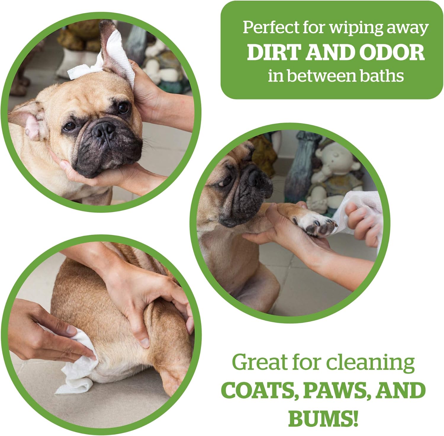 Pogi's Grooming Wipes - 100 Hypoallergenic Pet Wipes for Dogs & Cats - Plant-Based, Fragrance-Free, Deodorizing Dog Wipes