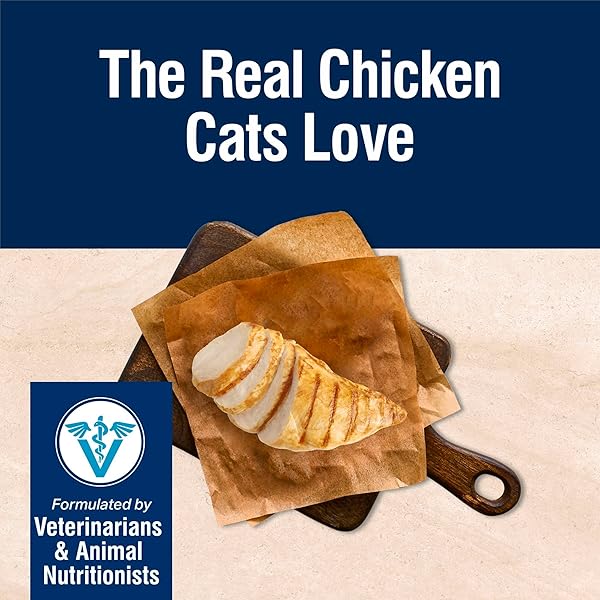 BLUE BUFFALO TRUE SOLUTIONS DIGESTIVE CARE NATURAL DRY CAT FOOD FOR ADULT CATS, CHICKEN, 11-LB. BAG