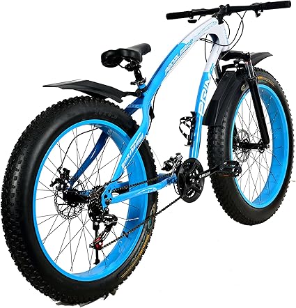 Roadtrek fat cycle price Clearance