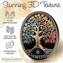 MilestoneMint Affirmation Sobriety Coin Gift Set