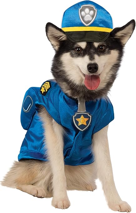 dog security costume