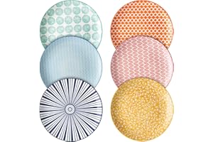 Selamica 10 inch Porcelain Dinner Plates, Large Size Serving Plate for Salad, Pancakes, Steak, Set of 6, Assorted Colors