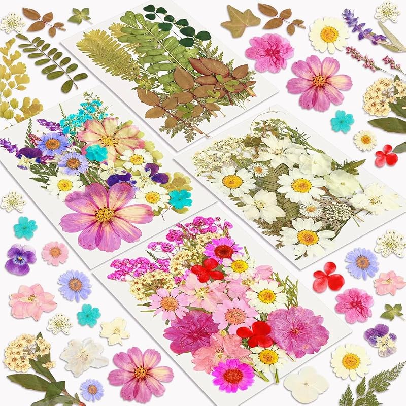 Resiners 100 Pcs Dried Flowers for Resin Crafts Preserved Real Flowers Kit
