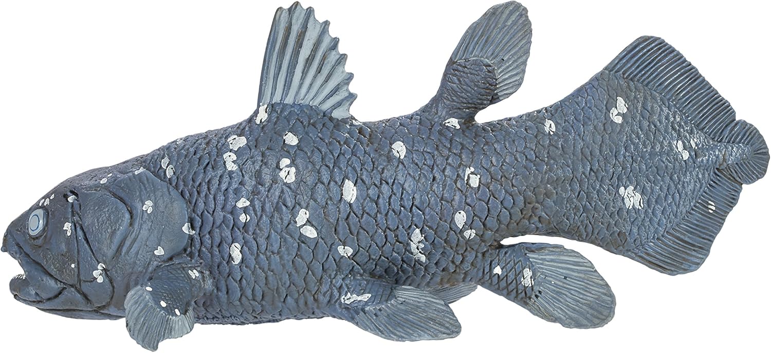 coelacanth toy