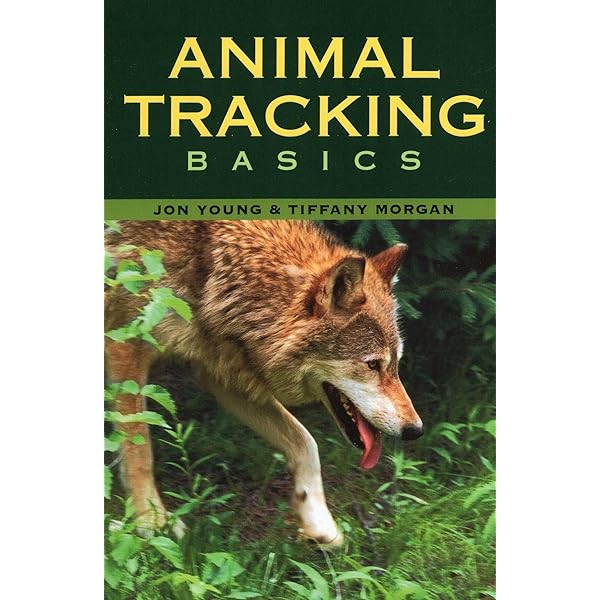 Lyster's International Wildlife Law: Bowman, Michael