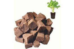 Haligo 50 Pcs Square Hydroponics Pods, Seed Starter Plugs Rapid Rooter, Grow Sponges for Cactus, Succulent, Replacement Cubes for Seeds or Cuttings