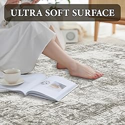 Area Rug 9x12 Vintage Rug: Large Washable Indoor