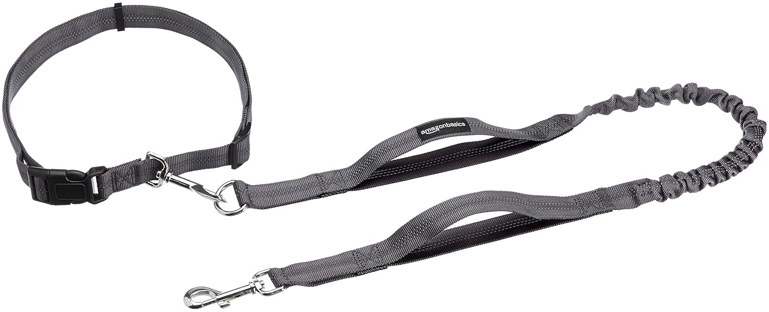 AmazonBasics Dual Handle Bungee Dog Leash 0,9 m, Black Amazon.co.uk Pet Supplies