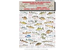 TIGHTLINES PUBLICATIONS Freshwater Fish Identification Chart #8 - Waterproof Quick Reference Fishing Guide - 50+ Fish Species ID - (US, Canada, and Alaska) - Double-Sided & Easy to Read - Great Gift for Beginners