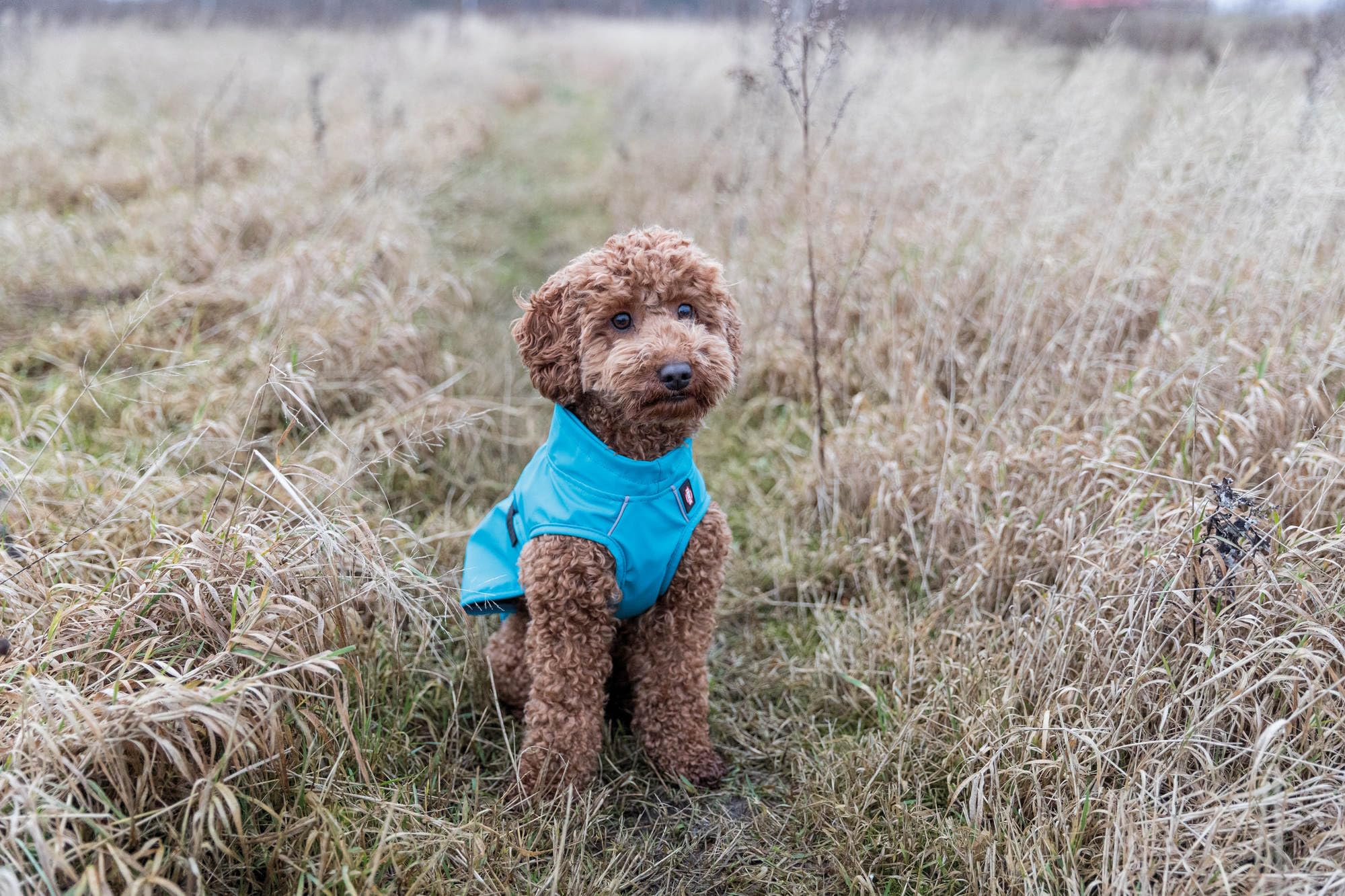 View 7