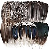 FeelfunFeather Pheasant Feathers -50pcs 5 Style
