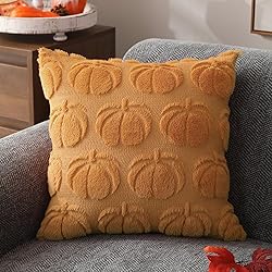 DFXSZ Fall Pillow Covers 16x16 Set of 2 Fall