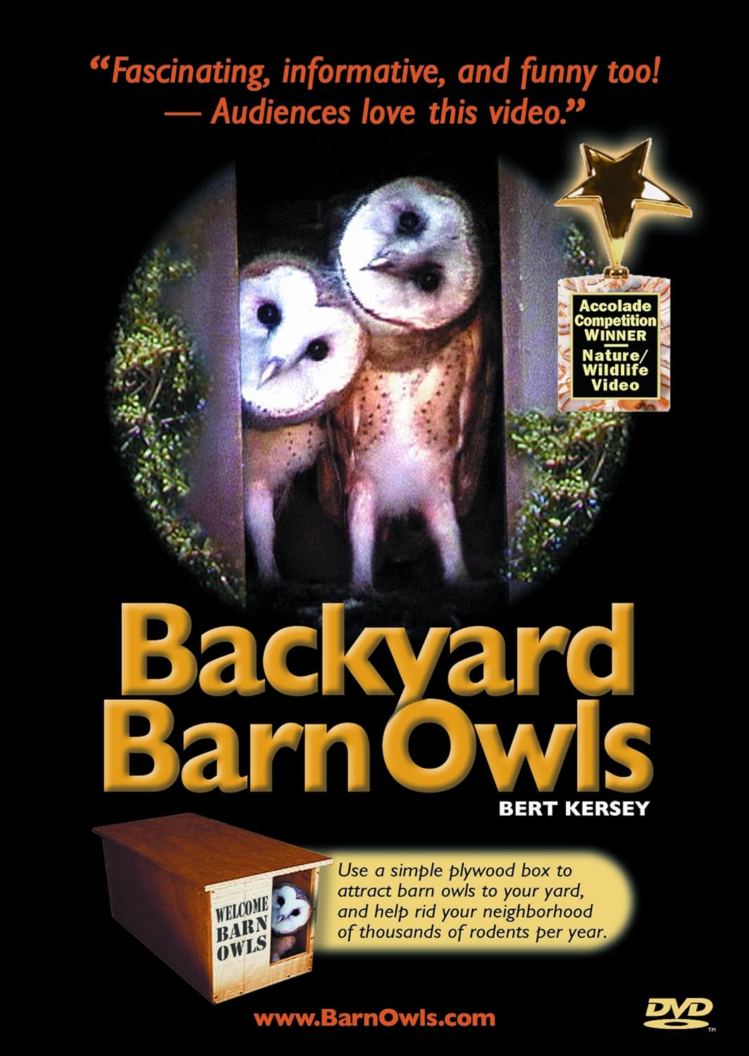 Amazon Com Backyard Barn Owls Barn Owls Tyto Alba Bert Kersey