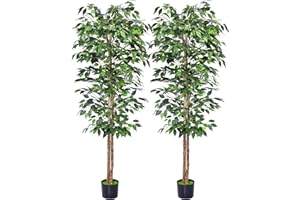 HAIHONG 2Packs 6FT Artificial Ficus Trees with Realistic Leaves and Natural Trunk, Faux Ficus Tree with Sturdy Plastic Nursery Pot, Fake Ficus Tree for Office Home Farmhouse for Indoor Outdoor Decor