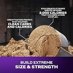 Muscletech High-Protein Mass Gainer