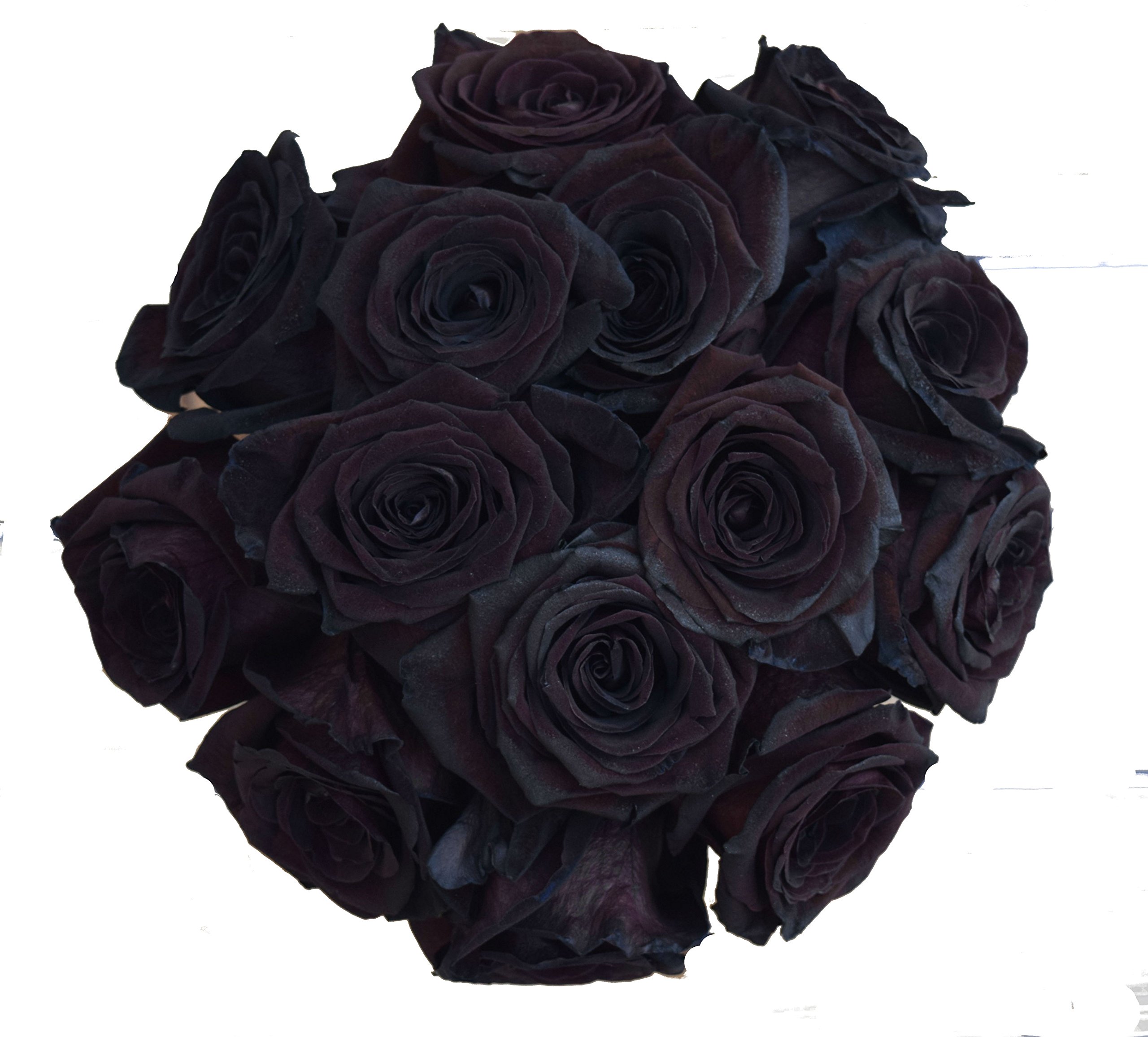 24 Stems 2 Dozen Farm Fresh Black Tinted Roses Bouquet By