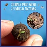 Seedball Shade Mix Seed Bombs Wild Flower Tin 20 Balls UK Brand view 6