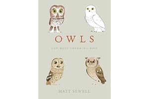 Owls: Our Most Charming Bird