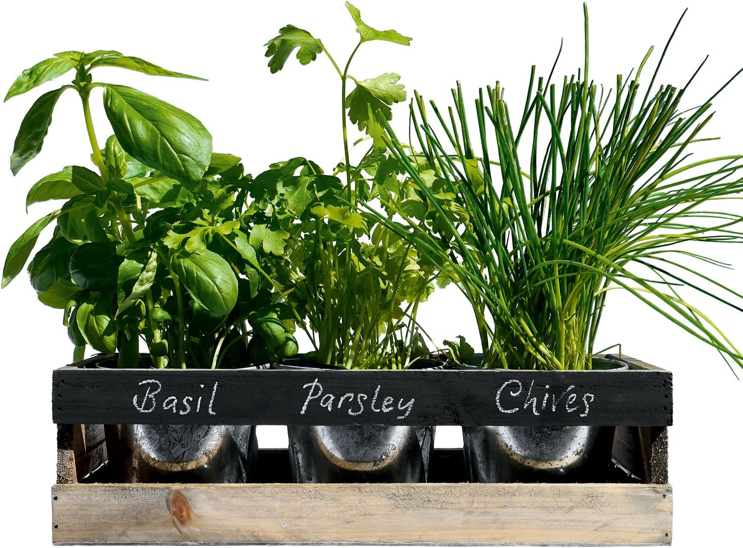 VIRIDESCENT Herb Planter to Grow Your Own Herbs 3 Reusable Pots with Planter, Tray, Seeds, Blackboard and Chalk, Kitchen Decor