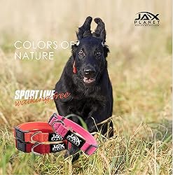 Soft Touch Collar & Rope Leash :CofN Rope Dog Leash