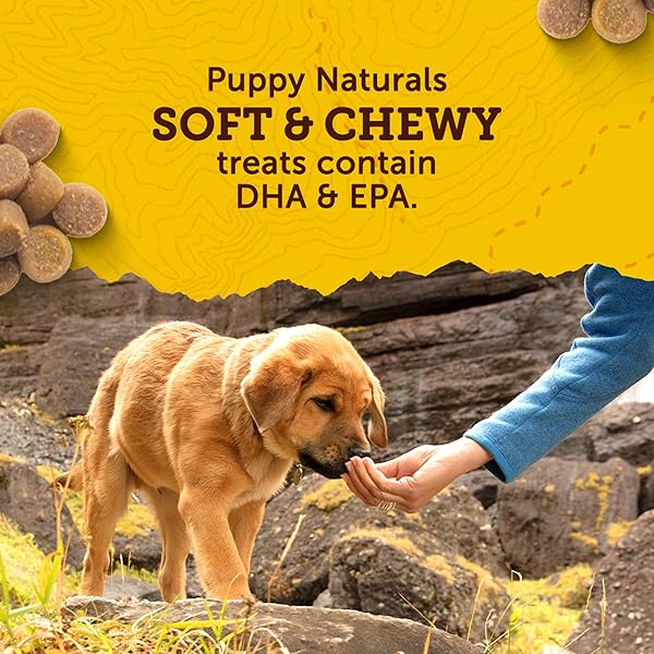 ZUKE’S PUPPY NATURALS DOG TRAINING TREATS, PORK & CHICKPEA RECIPE, NUTRIENT-RICH MINI DOG TREATS FOR TRAINING, GRAIN FREE PUPPY TREATS, 5 OZ BAG (PACK OF 1)