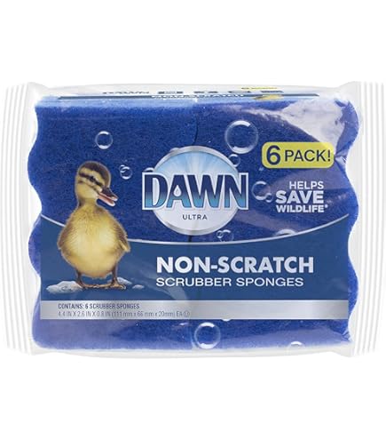 Amazon.com: Dawn 438111 Flip It Sponge, Pack of 2 : Health