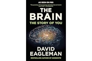 The Brain: The Story of You