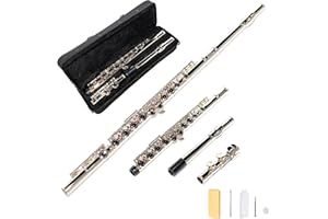 LeSage Closed Hole C Flute 16 Key Student Flute Beginner Starter with Case, Maintenance Kit, Cleaning Cloth, C Foot, Offset G, Y-arm
