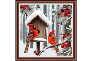 Dimensean Counted Cross Stitch Kit for Beginners, 11CT Unprinted Cross-Stitch Kit Easy Patterns Needlepoint Kit Cross Stitching Embroidery Kit Supplies-Little Bird Snow Scene 18x18 inch