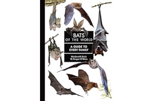 Bats of the World: A Guide to Every Family