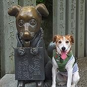 カスタマー画像