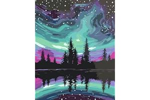 FILASLFT Paint by Numbers Full of Stars,Paint by Number for Adults,Paint by Numbers Kids Beginner, Paint by Number DIY Full of Stars Paint by Numbers for Gift Home Wall Decor 16X20 Inch.