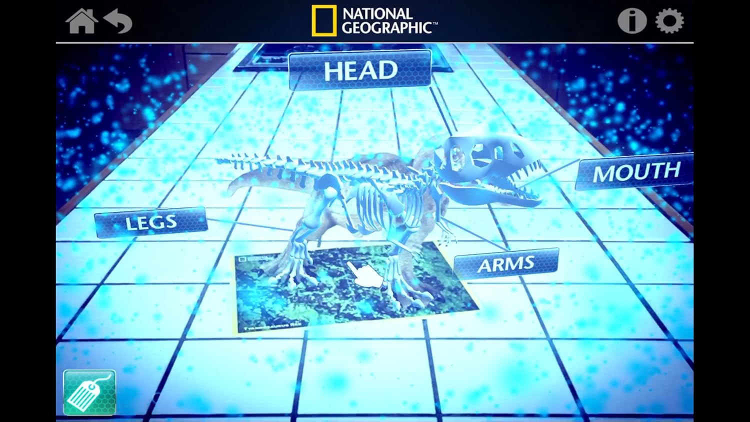 Action Figures & Statues NATIONAL GEOGRAPHIC Wildlife Wow! Medium Lion