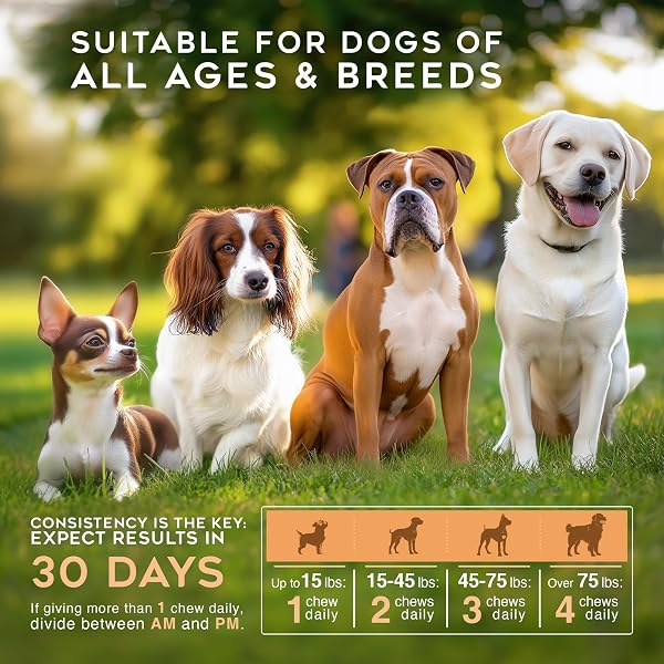 GARGEER HIP & JOINT MOBILITY HEALTH SUPPLEMENT. RICH WITH NATURAL GLUCOSAMINE, MSM AND GREEN LIPPED MUSSEL. VET CREATED – FOR ALL DOG BREEDS & AGES. 160 DUCK FLAVOR SOFT CHEWS. MADE IN THE USA. ENJOY!