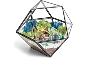 Creations by Nathalie DIY 7" Geometric Terrarium Kit with Live Plants - Build Your Own Glass Terrarium for Adults & Kids with Moss, Crystals, Tools & Decor - Mini Ecosystem - Handcrafted in The USA
