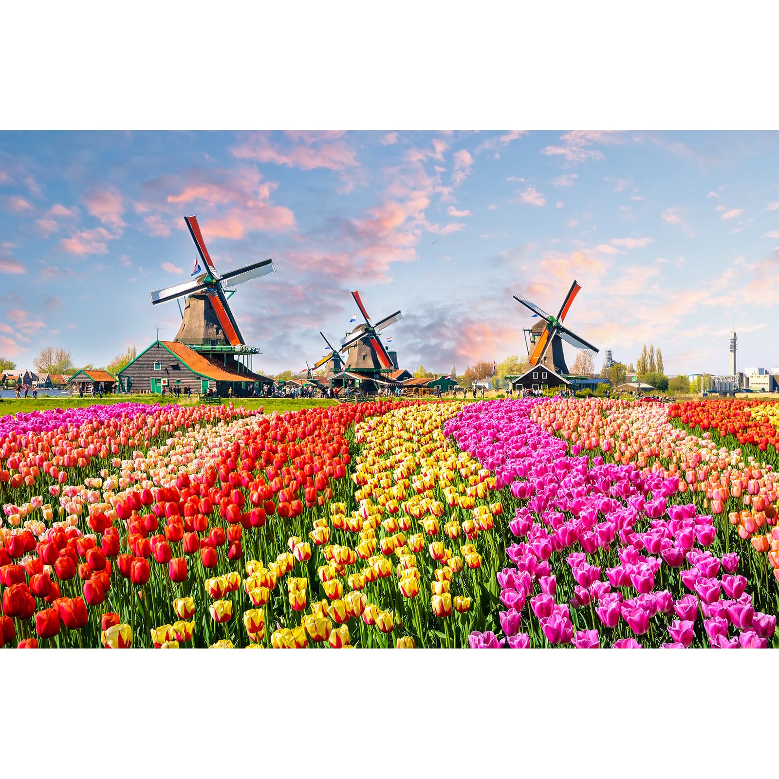 MISITU Mini Jigsaw Puzzle 1000 Pieces for Adults Windmill Flower Field Puzzle Home Decoration 15 x 10.2 Inch — image 1