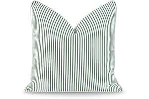 Hofdeco Premium Coastal Patio Indoor Outdoor Pillow Cover Only, 20"x20" Water Resistant for Backyard, Couch, Green Stripe