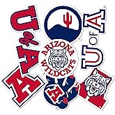 Desert Cactus University of Arizona Sticker UA Wildcats Vinyl Decals Laptop Water Bottle Car Type 2 (T2 Vintage 1)