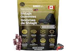 Shilajit Gummies – 500mg Himalayan Shilajit Extract – 80+ Trace Minerals – With Chaga Mushroom & Ashwagandha – Lab Tested – V