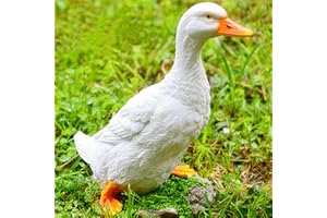 Euiroet Funny Real Duck Resin Statue,Garden Outdoor Statue,Figurine Ornament,Animal Statue,Farm Animal Decoration,Perfect for Patio, Lawn & Garden Decor(Hand-Crafted,Anti-Corrosion)