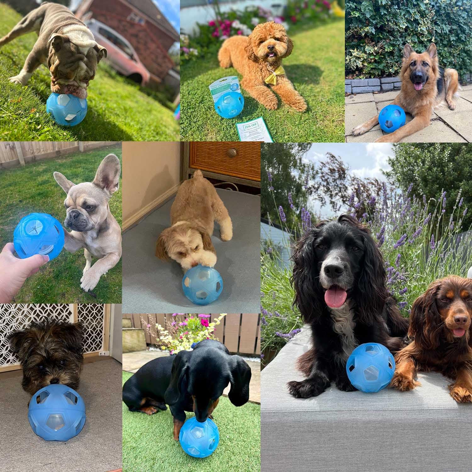 LumoLeaf Hundespielzeug Ball Ø 18cm, intelligenzspielzeug mit Einstellbarer Schwierigkeiten, intelligente Spiele für Mittlere, große Hunde, Hund futterspielzeug hundeball 5