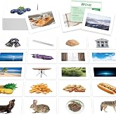 140 Noun Picture-Word Cards, Picture Flashcards Language Builder Visual Aid Speech Development Tool for Autism, ESL Teaching Material Non-Verbal Vocabulary Builder for Children, Kids, Adults (Level 2)