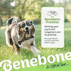 Benebone Wishbone Durable Dog Chew Toy for